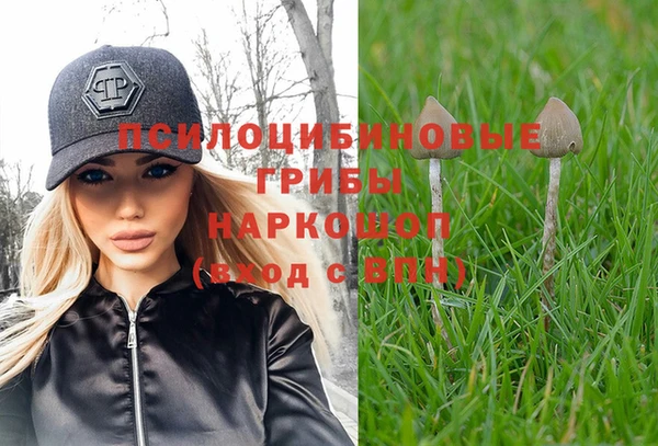 прущие крисы Зеленокумск