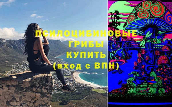 шишки Иннополис