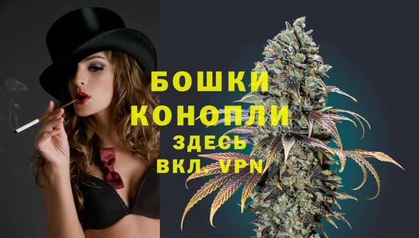 прущие крисы Зеленокумск